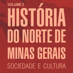 História do Norte de Minas Gerais: sociedade e cultura