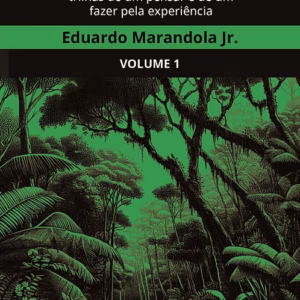 Ensinar-aprender fenomenologia: trilhas de um pensar e de um fazer pela experiência