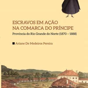 Escravos em ação na Comarca do Príncipe - província do Rio Grande do Norte (1870–1888)