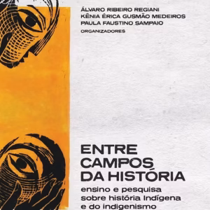 Entre campos da História: ensino e pesquisa sobre história indígena e do indigenismo