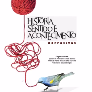 História, sentido e acontecimento: narrativas