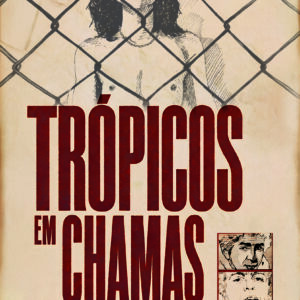 Trópicos em chamas: identidades homossexuais na Argentina e Brasil (1971-1981)